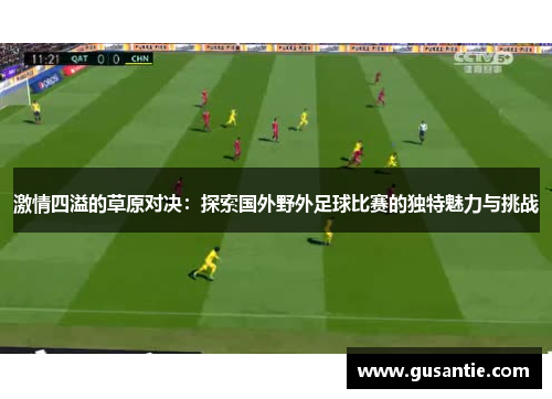 激情四溢的草原对决：探索国外野外足球比赛的独特魅力与挑战