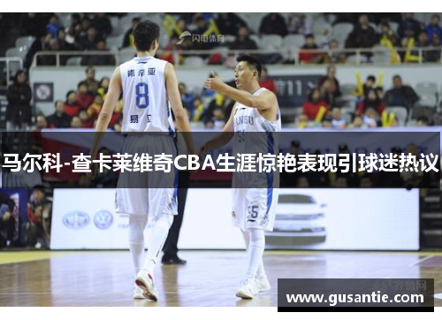 马尔科-查卡莱维奇CBA生涯惊艳表现引球迷热议