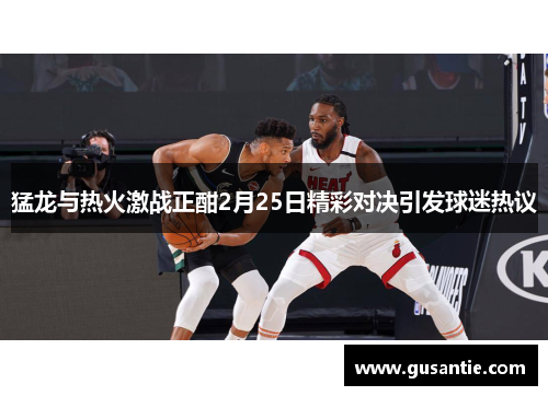 猛龙与热火激战正酣2月25日精彩对决引发球迷热议